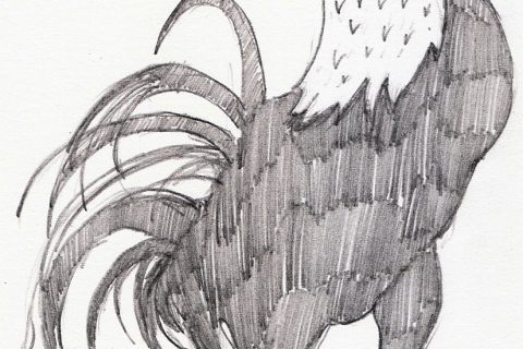Roost 01