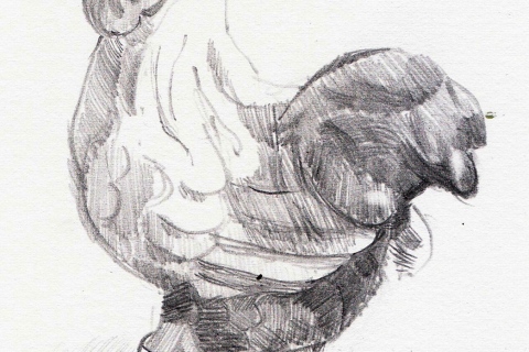 Salt Shaker Rooster