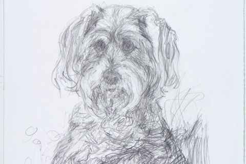 Version 1 - Drawn from photos
