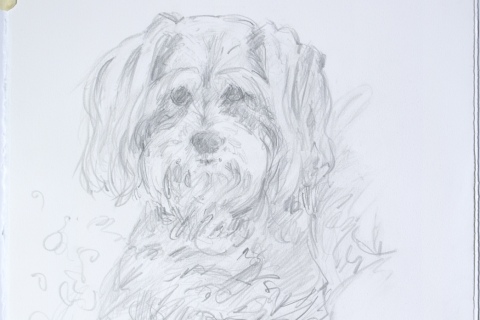 Version 2 - Drawn from photos