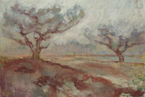 Brown Peach Trees