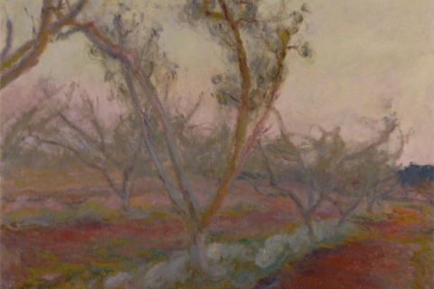Peach Orchard, Dusk