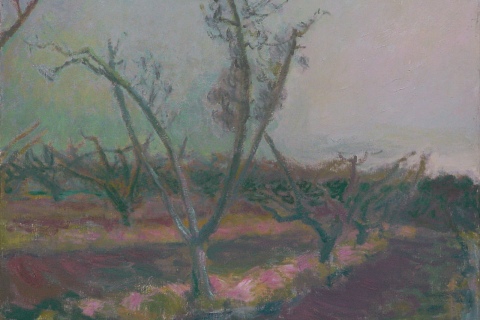 Peach Orchard Night