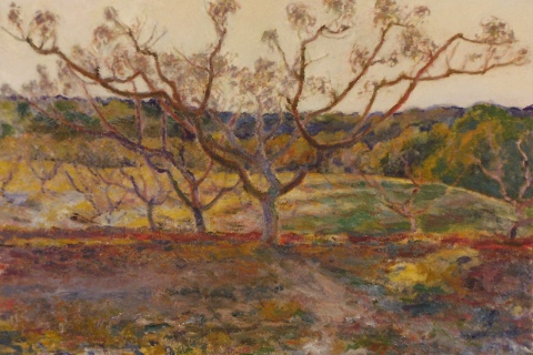 Peach Tree Bare