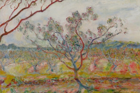 Peach Tree 2