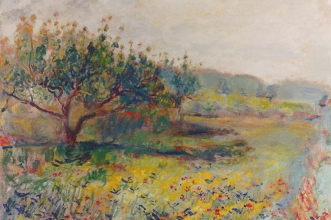 Odom Peach Tree and Grass