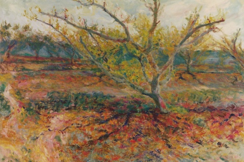 Peach Tree on Hill