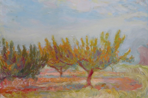 Spring Trees