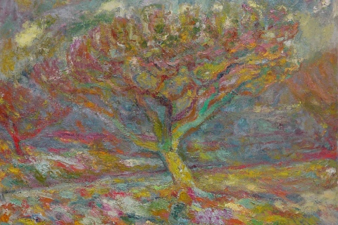 Stormy Tree
