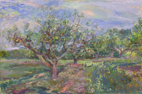 Orchard Landscapes on Canvas