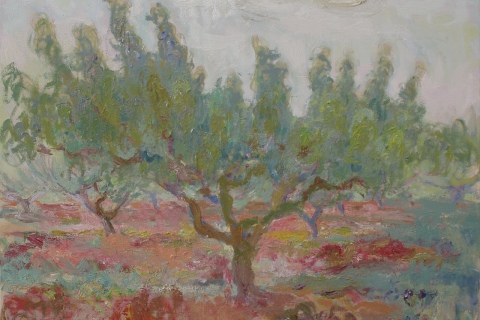 Afternoon Tree