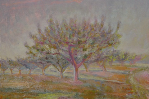 Dusk Tree