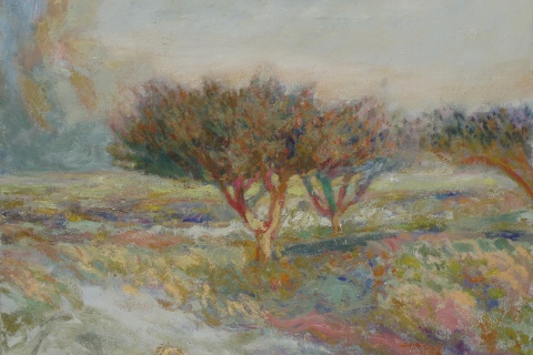 Misty Orchard
