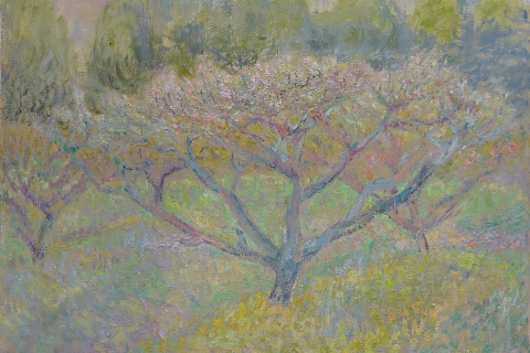 Night Tree, Yellow