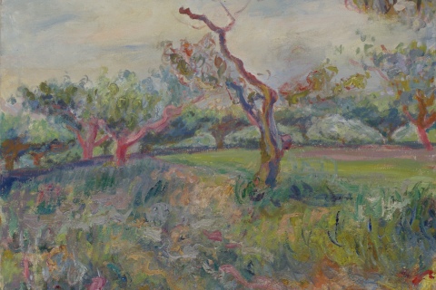Old Tree in Mitcham Orchard