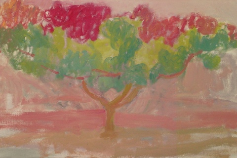 Orchard Trees, Pink