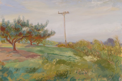 Orchard with Pole