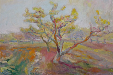 Peach Tree Gold