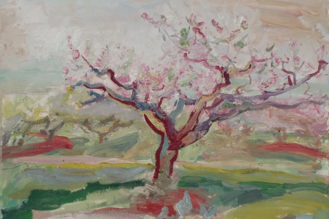 Peach Tree in Bloom Sketch