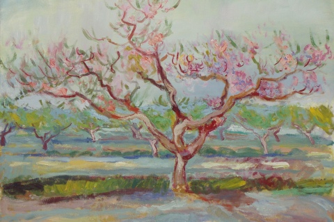 Peach Tree in Bloom