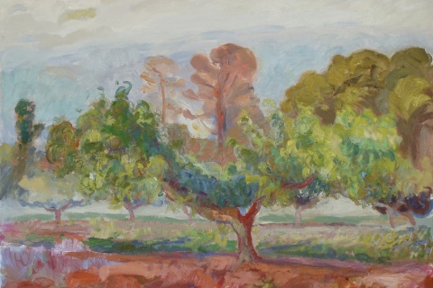 Peach and Pine Trees