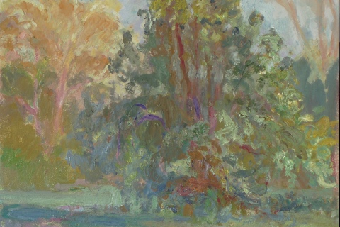 Pear Tree