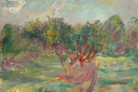Plum Tree, Spring