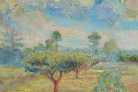 Plum Trees