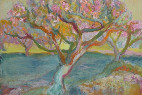 Sunset Tree