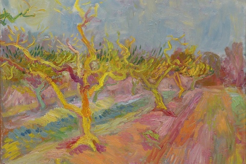 Yellow Peach Trees