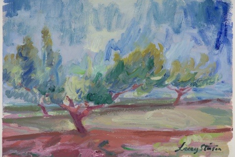 South Orchard Peach Tree - Study