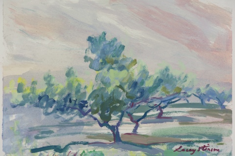Tree in Shade in Lower Orchard - Study