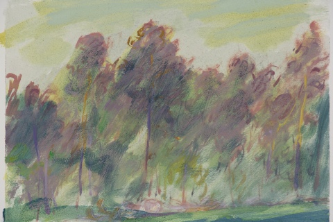 Plein Air Sketch 1