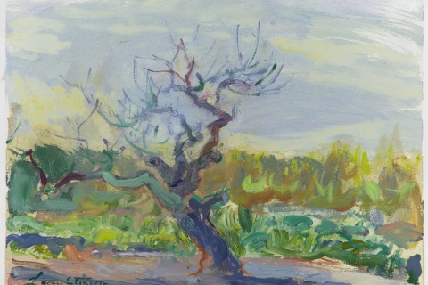 Plein Air Sketch 12