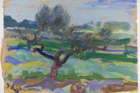 Plein Air Sketch 18