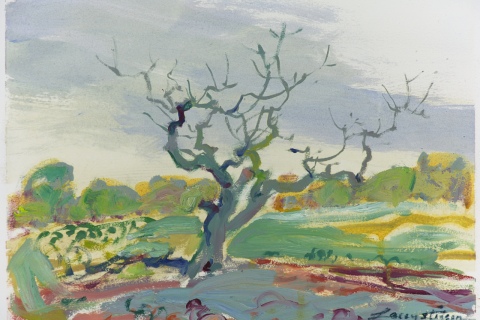 Plein Air Sketch 14