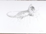 Pip as a Young Boy