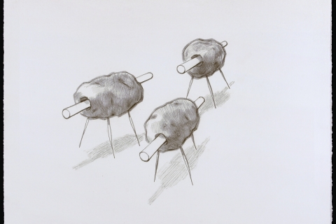 Marching Duralopsids