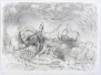 Small Worlds Studies